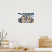 Snow Leopard Animal Natuur Wildlife Affectie Liefd Poster (Keuken)