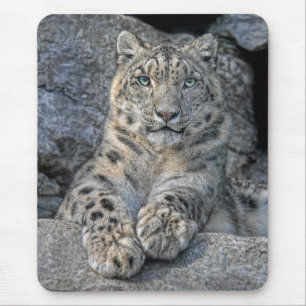 Snow Leopard Beauty Mousepad Muismat
