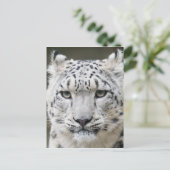 Snow Leopard Briefkaart (Staand voorkant)