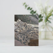 Snow Leopard Briefkaart (Staand voorkant)