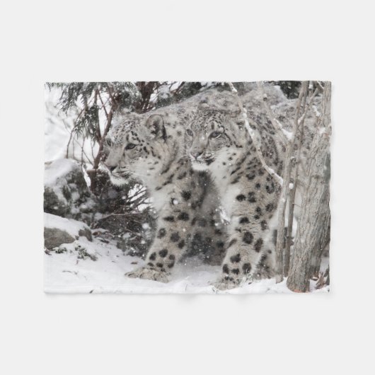 Snow Leopard Brothers Walking Fleece Deken (Voorkant (Horizontaal))