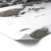 Snow Leopard Brothers Walking Poster (Hoek)