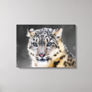 Snow Leopard Canvas Afdruk
