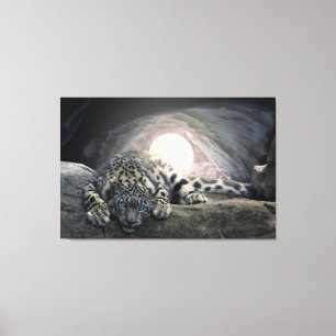 Snow Leopard Canvas Afdruk