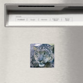 Snow Leopard closeup Magneet (Insitu (Vaatwasser))