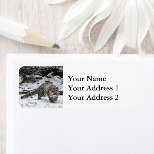 Snow Leopard Cub Etiket (Insitu)