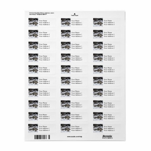 Snow Leopard Cub Etiket (Full Sheet)