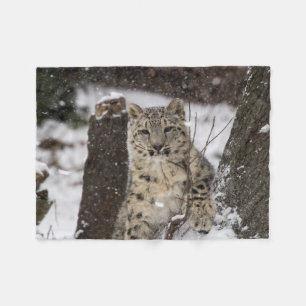 Snow Leopard Cub Fleece Deken