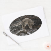 Snow Leopard Cub Pounce Ovale Sticker (Envelop)