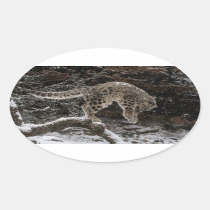 Snow Leopard Cub Pounce Ovale Sticker