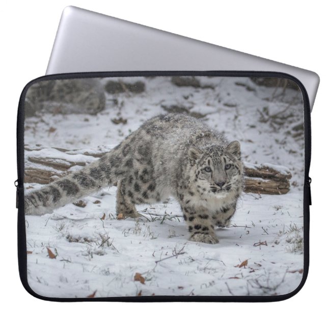 Snow Leopard Cub Stalking Laptop Sleeve (Voorkant)