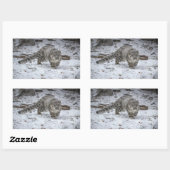 Snow Leopard Cub Stalking Rechthoekige Sticker (Vel)
