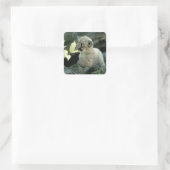 Snow Leopard Cub Vierkante Sticker (Tas)