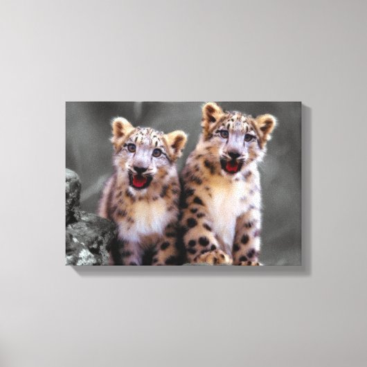 Snow Leopard Cubs Canvas Afdruk (Voorkant)