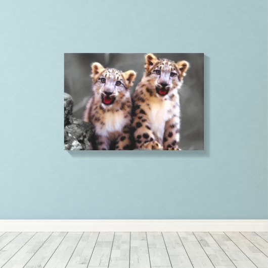 Snow Leopard Cubs Canvas Afdruk (Insitu (Houten vloer))