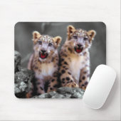 Snow Leopard Cubs Muismat (Met muis)