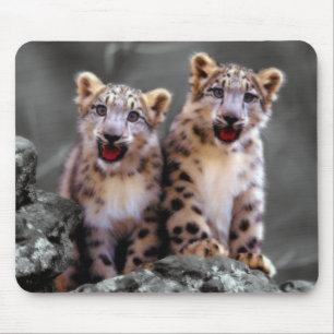 Snow Leopard Cubs Muismat