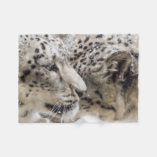 Snow Leopard Cuddle Fleece Deken (Voorkant (Horizontaal))