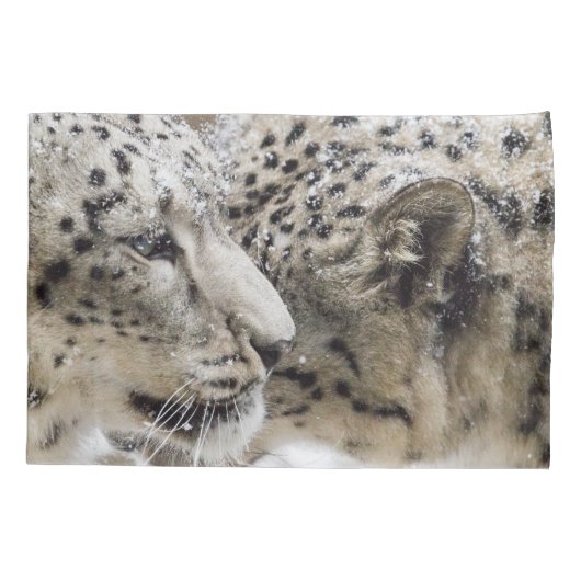 Snow Leopard Cuddle Kussensloop (Achterkant)