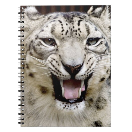 Snow Leopard Face Notitieboek (Voorkant)