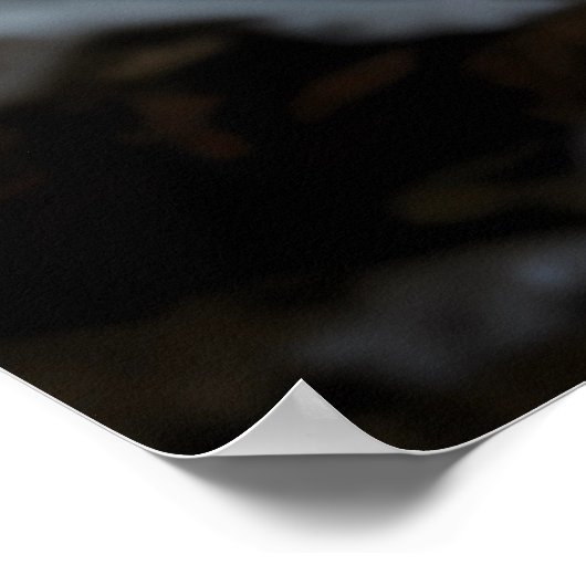 Snow Leopard Guardian Poster (Hoek)