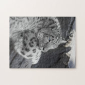 Snow Leopard Icy Stare Legpuzzel (Horizontaal)