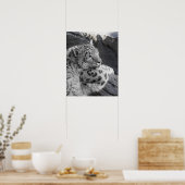 Snow Leopard Icy Stare Poster (Keuken)