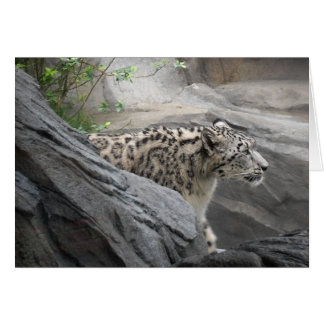 Snow Leopard-Kaart