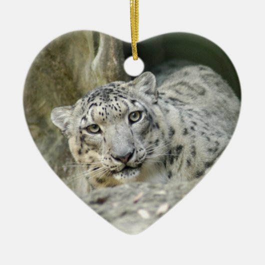 Snow Leopard-kerstversiering Keramisch Ornament (Voorkant)