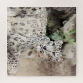 Snow Leopard Legpuzzel (Horizontaal)