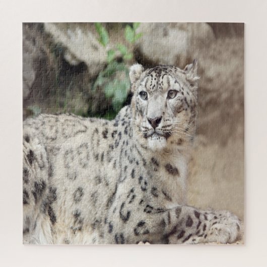 Snow Leopard Legpuzzel (Verticaal)