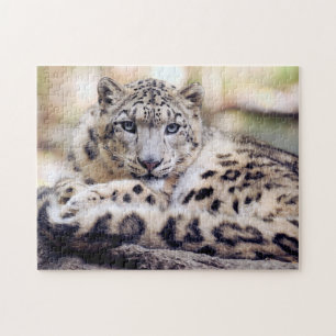 Snow Leopard Legpuzzel