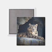 Snow Leopard Magneet (Voorkant / Achterkant)