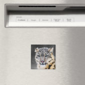 Snow Leopard Magneet (Insitu (Vaatwasser))
