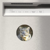 Snow Leopard Magneet (Insitu (Vaatwasser))