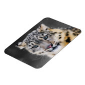 Snow Leopard Magneet (Linkerzijde)