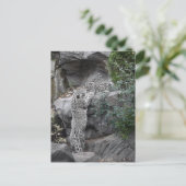 Snow Leopard moeder en welp Briefkaart (Staand voorkant)