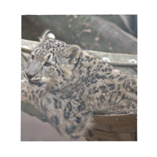 Snow Leopard Notitieblok (Voorkant)
