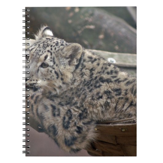 Snow Leopard Notitieboek (Voorkant)