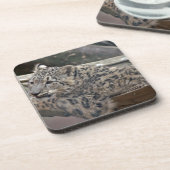 Snow Leopard Onderzetter (Linkerzijde)