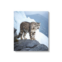 Snow Leopard op een Frozen Peak