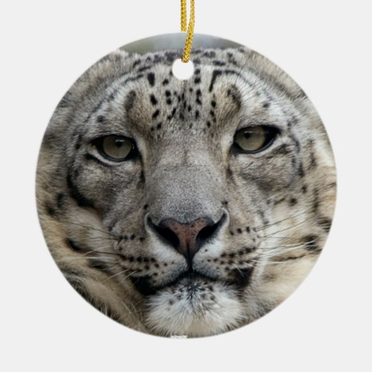 Snow Leopard Ornament (Voorkant)