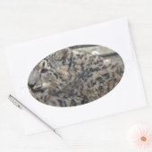 Snow Leopard Ovale Sticker (Envelop)