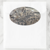 Snow Leopard Ovale Sticker (Tas)