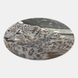 Snow Leopard Ovale Sticker