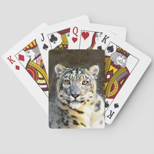 Snow Leopard Pokerkaarten (Achterkant)