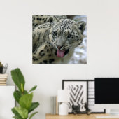 Snow Leopard Poster (Thuiskantoor)