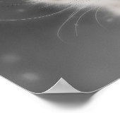 Snow Leopard Poster (Hoek)