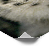 Snow Leopard Poster (Hoek)