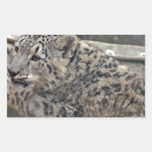 Snow Leopard Rechthoekige Sticker